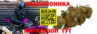 стаф Балаково