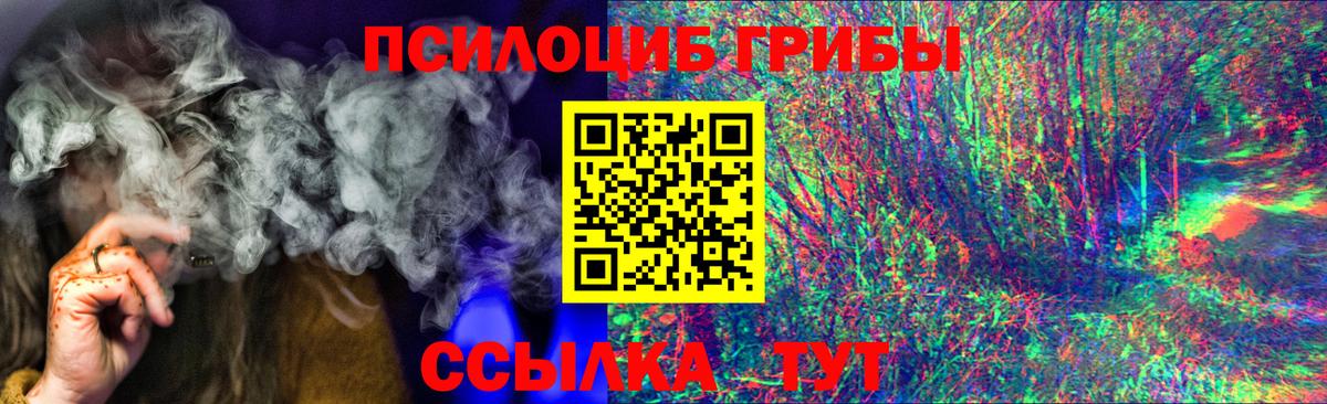дарнет шоп  Вход с VPN  Асбест  Галлюциногенные грибы мухоморы 